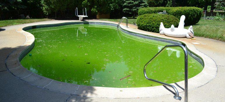 agua piscina verde